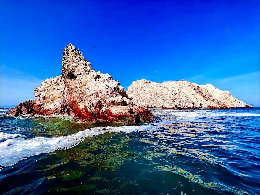 Best things to do in Paracas - Ballestras Island