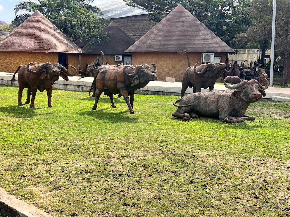 Things to do in Arusha