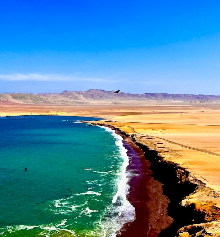 Highlights of Peru in 3 weeks - Paracas