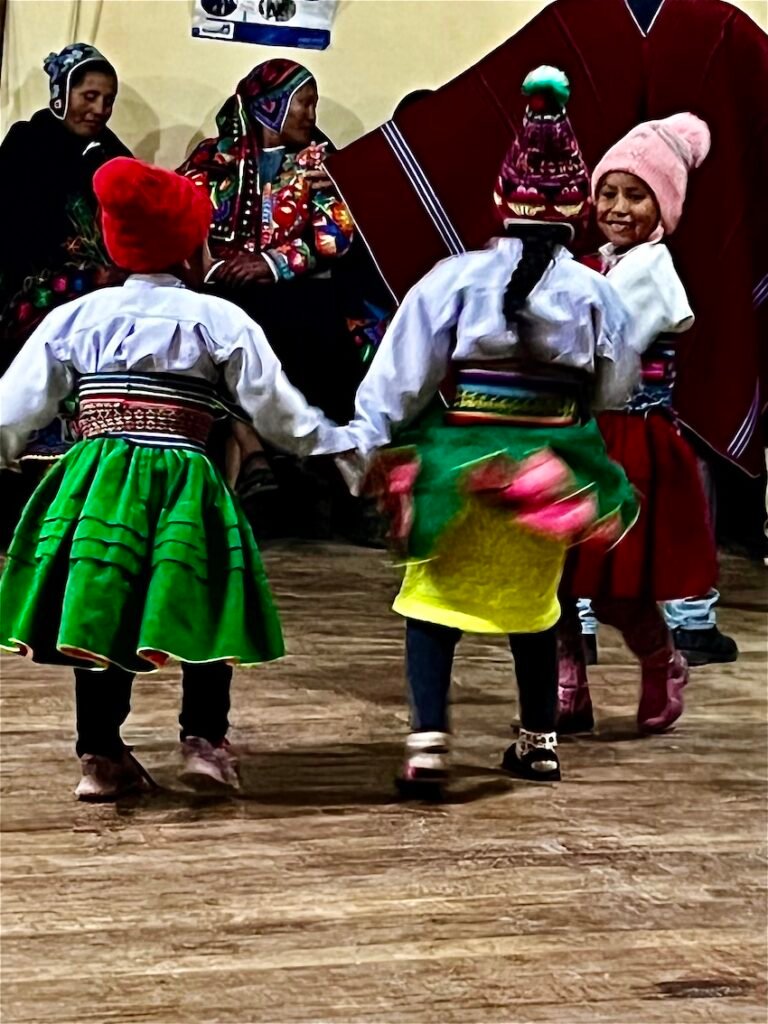 Puno Homestay Lake Titicaca - Village Party