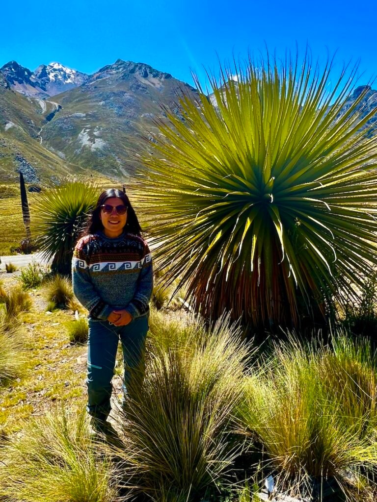 Huaraz Best Hikes and Day Trips - Puya Raimondii