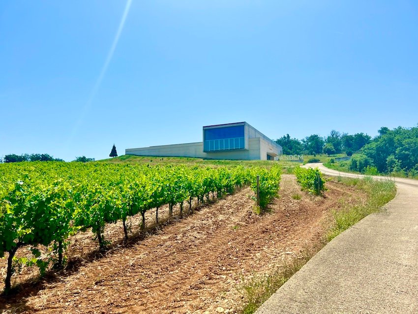 Camino de Santiago Pyrenees Tandem Winery