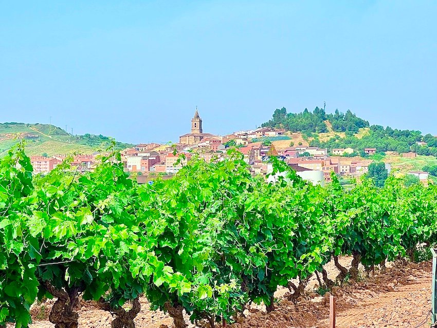 Camino de Santiago Rioja