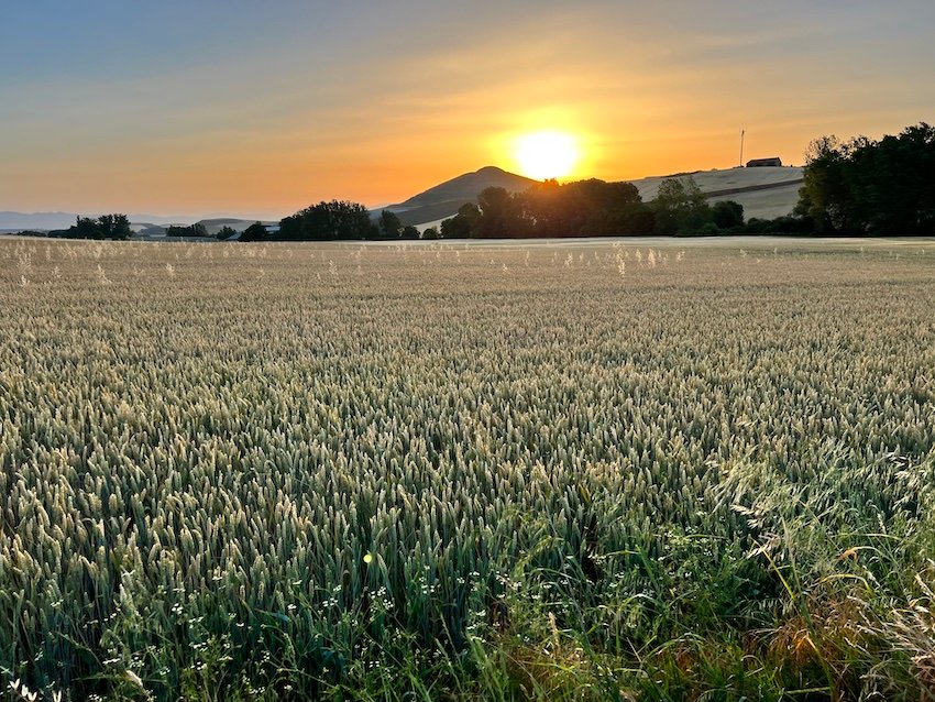 Camino de Santiago Rioja