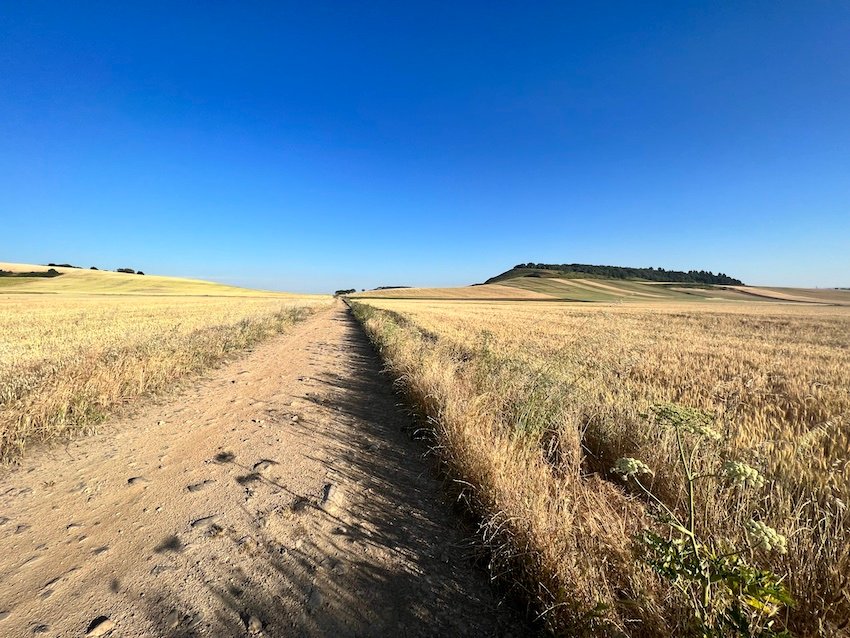 Camino de Santiago Rioja