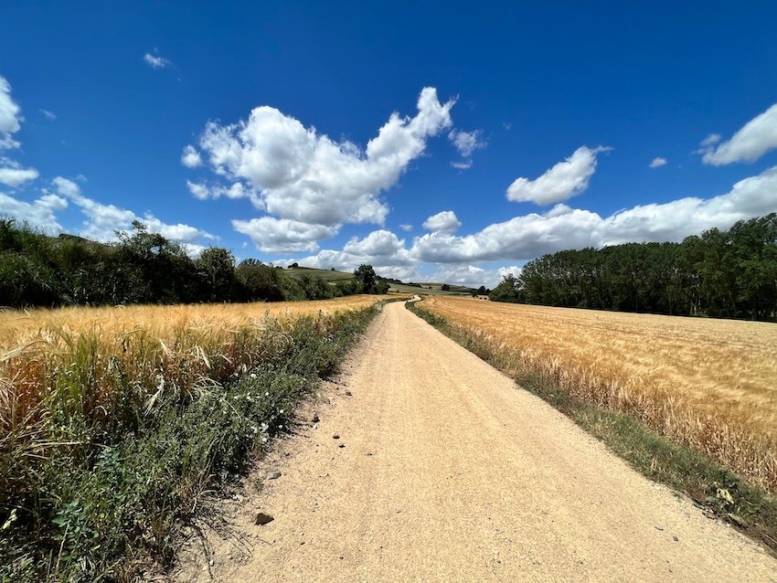 Camino de Santiago Rioja