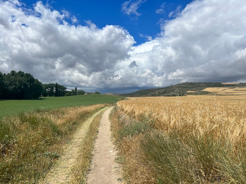 Camino de Santiago Meseta