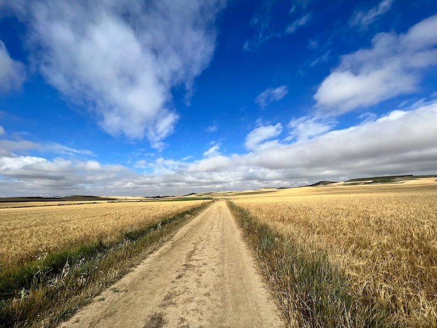 Camino de Santiago Meseta