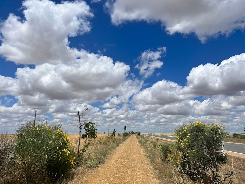 Camino de Santiago Meseta