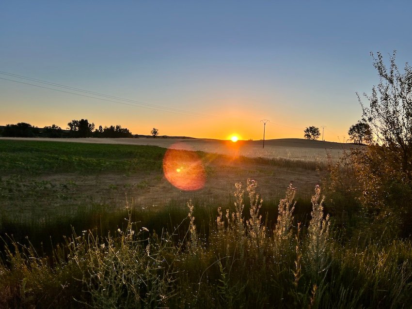 Camino de Santiago Meseta