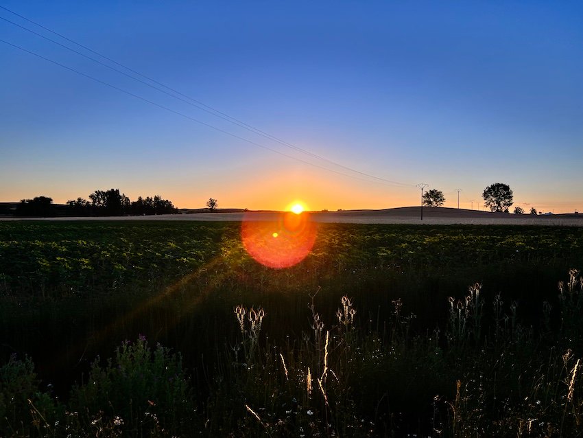 Camino de Santiago Meseta