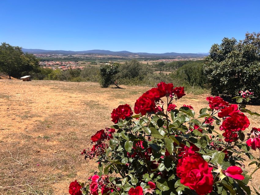 Camino de Santiago Injuries - Ashtorga