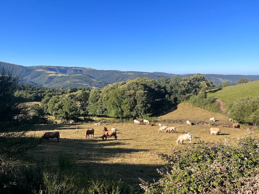 Completing the Camino de Santiago