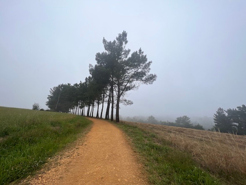 Completing the Camino de Santiago