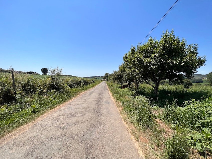 Completing the Camino de Santiago