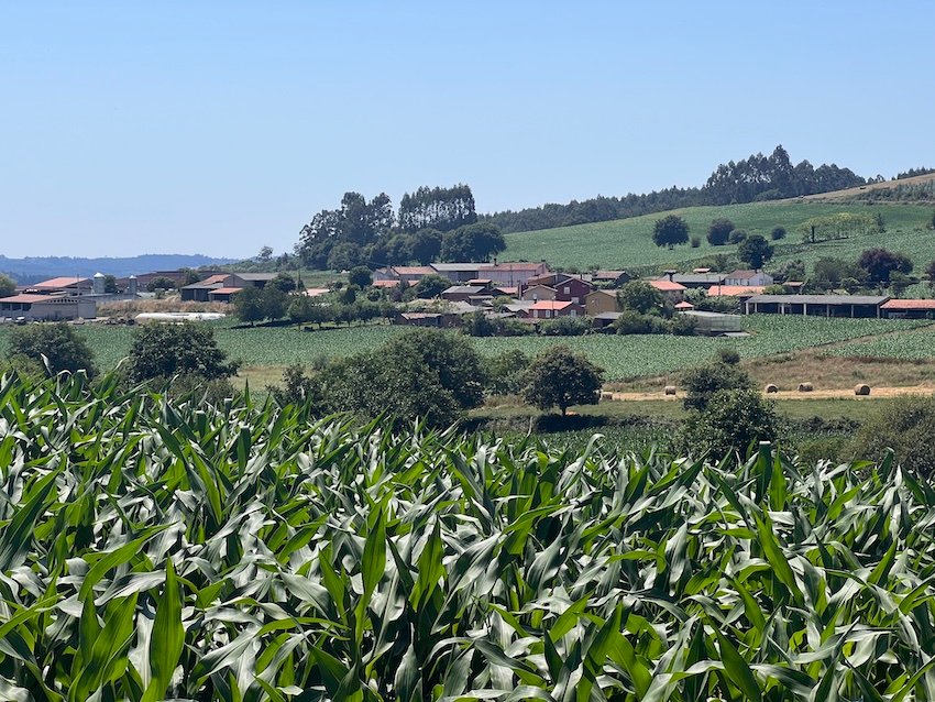 Completing the Camino de Santiago