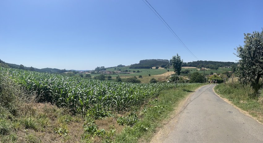 Completing the Camino de Santiago