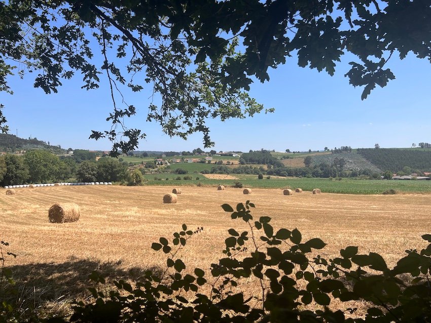 Completing the Camino de Santiago