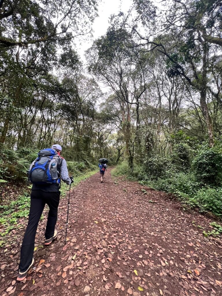 How to Prepare for Kilimanjaro