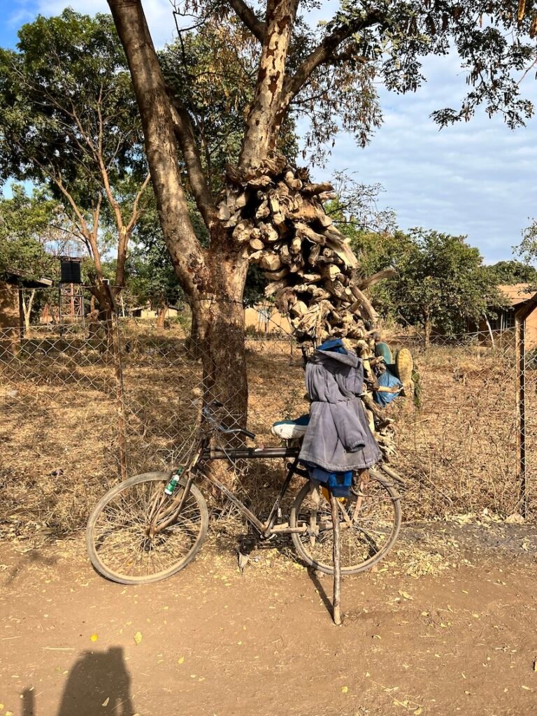 Basecamp Kilimanjaro Moshi