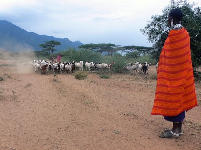 Basecamp Kilimanjaro Moshi - Masaai