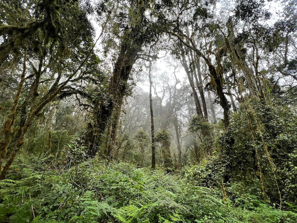 Kilimanjaro Machame Route