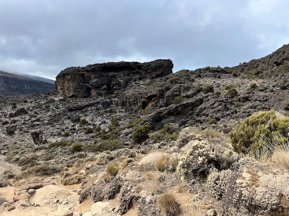 Kilimanjaro Barranco to Barafu Base Camp