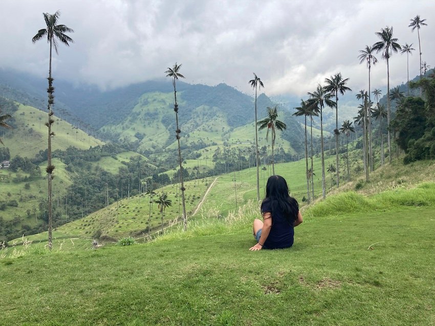 Taking a year off to travel - valle cocora