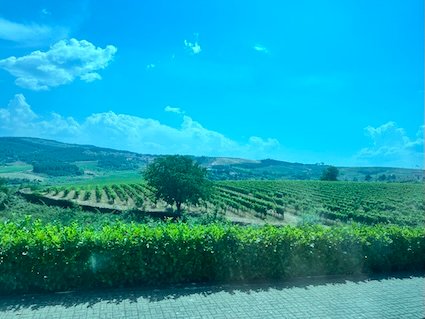 Porto Duoro River Wine Tour