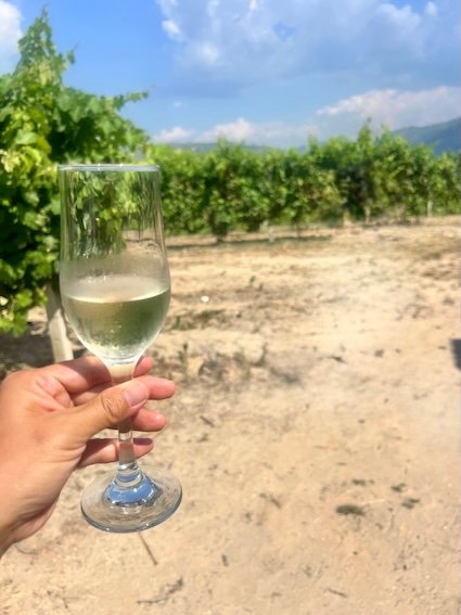 Porto Duoro River Wine Tour