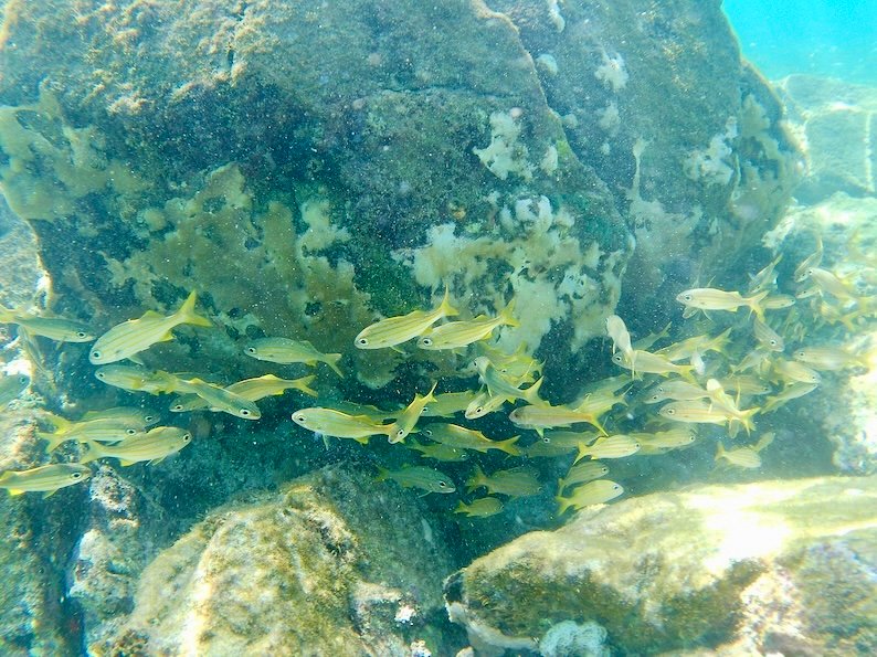 Koh Kradan Most Beautiful Beach in the World - Snorkeling