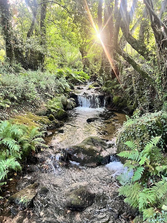 Portuguese Camino Santiago Compostela - Ruta de Piedra y Agua