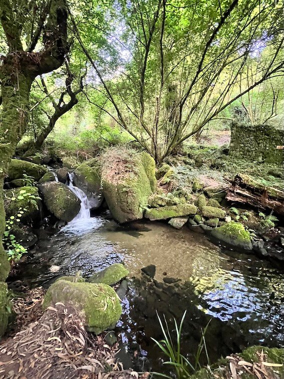 Portuguese Camino Santiago Compostela - Ruta de Piedra y Agua