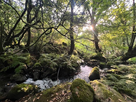 Portuguese Camino Santiago Compostela - Ruta de Piedra y Agua